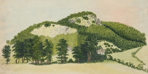 Forestry Prints: Forest I. 1850-1890. Creator: Unknown