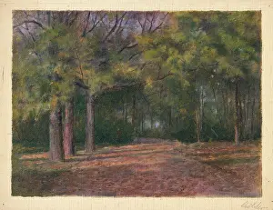 Czlder Prints: Forest II, early 20th century. Creator: Dezider Czolder
