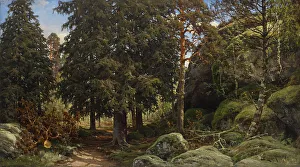 Forest Interior, 1878. Creator: Berndt Lindholm