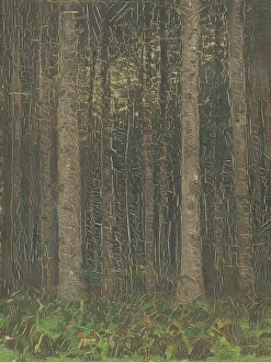 Textured Prints: Forest Interior, 1880-1885. Creator: Ladislav Mednyanszky