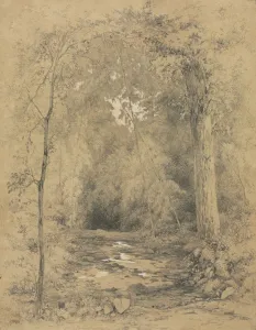 Forest Interior, c. 1870. Creator: John Henry Hill (American, 1839-1922)