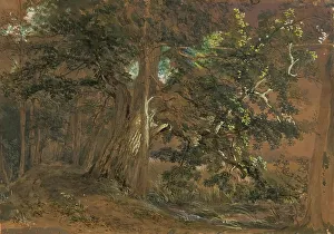 Watercolor On Paper Prints: Forest interior near Lundenburg (maple group at a mountain lake)