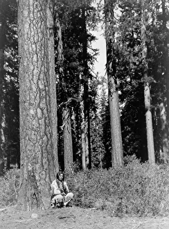 Oregon United States Of America Prints: In the forest-Klamath, c1923. Creator: Edward Sheriff Curtis