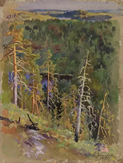 Scots Pine Prints: Forest Landscape, 1895. Creator: Eero Jarnefelt
