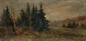 Fir Tree Prints: Forest landscape, 1903. Creator: Felician Moczik