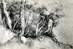 Tietze Collection: Forest Landscape, c1516-1518, (1937). Artist: Titian