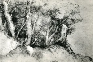 Hans Tietze Collection: Forest Landscape, c1516-1518, (1937). Artist: Titian