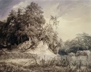 Schirmer Johann Wilhelm Prints: Forest Landscape with Lake and Swans, c1830-1834. Creator: Johann Wilhelm Schirmer