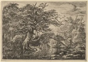 Van Ruisdael Jacob Isaacksz Prints: A Forest Marsh with Travelers on a Bank (The Travelers). Creator: Jacob van Ruisdael