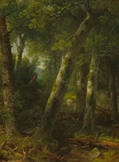 Moss Gallery: Forest in the Morning Light, c. 1855. Creator: Asher Brown Durand