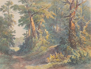 Friedrich Carl Von Prints: Forest motif, around 1900. Creator: Friedrich Carl von Scheidlin