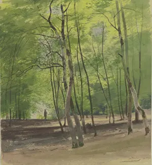 Shaded Prints: Forest near Braunfels, 1855. Creator: Carl Theodor Reiffenstein