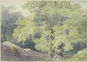 Bavaria Prints: In the forest near Falkenstein, 1877. Creator: Ernst Morgenstern