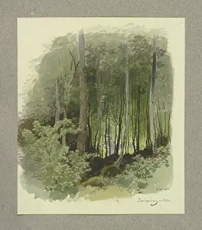 Tranquil Prints: Forest near Zwingenberg on the Neckar River, 1850. Creator: Carl Theodor Reiffenstein