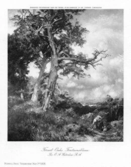 Seine Et Marne Collection: Forest Oaks, Fontainebleau, 1908.Artist: Sir Ernest Albert Waterlow