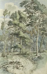 Johannes Huibert Prins Prints: Forest path, 1783. Creator: Johannes Huibert Prins