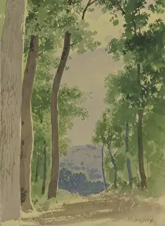 Treelined Prints: Forest path, 1854. Creator: Carl Theodor Reiffenstein