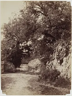 Forest Path, c1853. Creator: Eugene Cuvelier