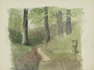 Chris Huidekooper Prints: Forest path, c.1895-c.1896. Creator: Christiaan Huidekoper