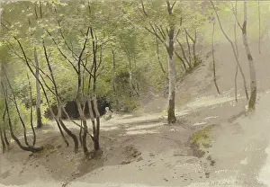 Shaded Prints: Forest path near Falkenstein, 1877. Creator: Carl Theodor Reiffenstein