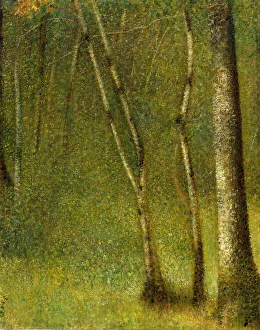 The Forest at Pontaubert, 1881. Creator: Georges-Pierre Seurat