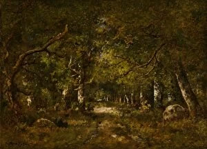 Narcisse De La Pena Collection: Forest Scene, 1874. Creator: Narcisse Virgile Diaz de la Pena
