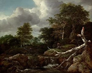 Waterfall Collection: Forest Scene, c. 1655. Creator: Jacob van Ruisdael
