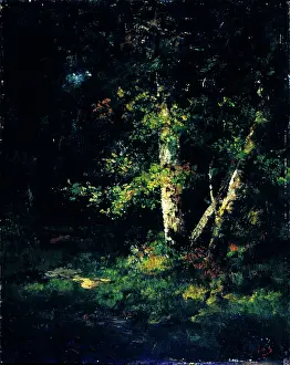 Moonlit Prints: Forest Scene, c1830-1870. Creator: Narcisse Virgile Diaz de la Pena