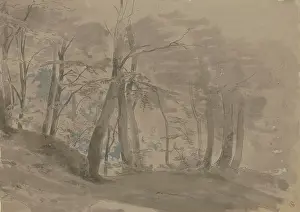 Misty Prints: Forest section, c1840-1890. Creator: Carl Theodor Reiffenstein