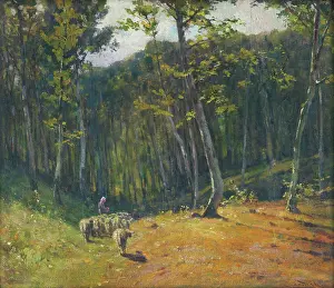 Animal Motif Prints: Forest with sheep, 1900-1910. Creator: Ludovit Cordak