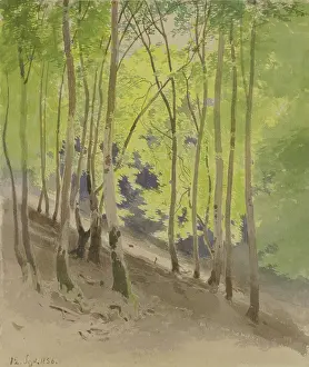 Spirituality Prints: Forest slope, 1856. Creator: Carl Theodor Reiffenstein