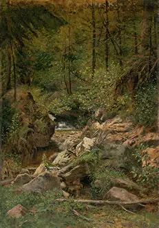 Eduard Prints: Forest stream, 1900. Creator: Eduard Majsch