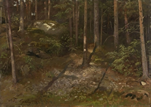 Tidemand Adolph Prints: Forest Study, 1871. Creator: Adolph Tidemand