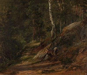 Fearnley Thomas Prints: Forest Study from Romsdal, 1836. Creator: Thomas Fearnley