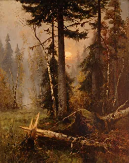 0 Russia Prints: Forest Thicket