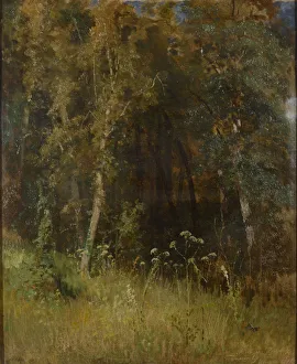 Shishkin Prints: Forest Thicket, 1874