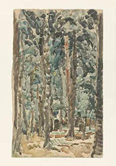 Dense Prints: Forest view, 1873-1932. Creator: Willem Steenhoff