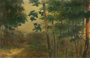 Elemr Halsz Hradil Prints: Forest view, 1902-1908. Creator: Elemir Halasz-Hradil