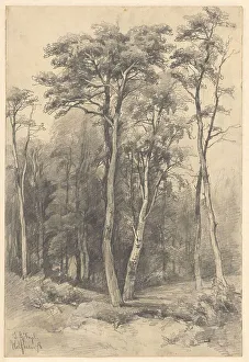 Gelderland Prints: Forest in Wolfheze, 1878. Creator: Johannes Gysbert Vogel