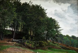 1864 Prints: Forested hills, 1864. Creator: Peter Christian Thamsen Skovgaard