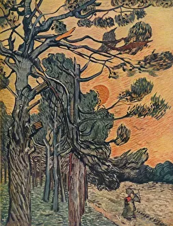 Foret De Sapins Au Declin Du Jour, 1889. Artist: Vincent van Gogh Foret De Sapins Au Declin Du Jour, 1889. Artist: Vincent van Gogh