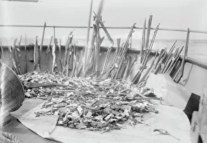 Forfeited guns, 1914. Creator: Bain News Service