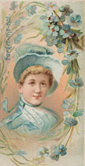 James Buchanan Duke Collection: Forget-Me-Not, from the series Floral Beauties and Language of Flowers (N75