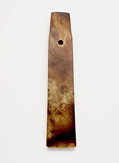 Tortoiseshell Prints: Forked blade (zhang ?), Late Neolithic period or early Shang dynasty, ca. 1600-1400 BCE
