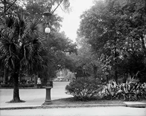 Forsyth Park, Savannah, Ga. between 1900 and 1910. Creator: Unknown