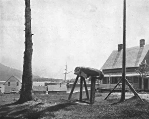 Alaska Collection: Fort Wrangell, Alaska, USA, c1900. Creator: Unknown