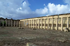 Libya Prints: Forum, Cyrene, Libya