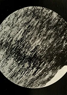 South Pole Collection: Fossil Wood in Sandstone, from a Moraine in Latitude 85°South, c1908, (1909)