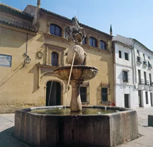 Images Dated 19th September 2013: Fountain in the Potro Square in Cordoba