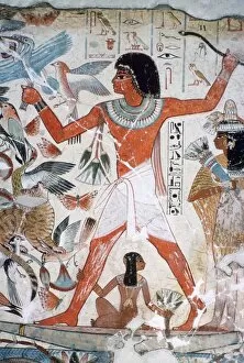 Tomb Collection: Fowling in the marshes: wall painting from the tomb of Nebamun, Thebes, Egypt, c1350 BC